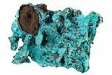 Chrysocolla and Malachite Pseudomorph - Lupoto Mine, Congo #167669-1